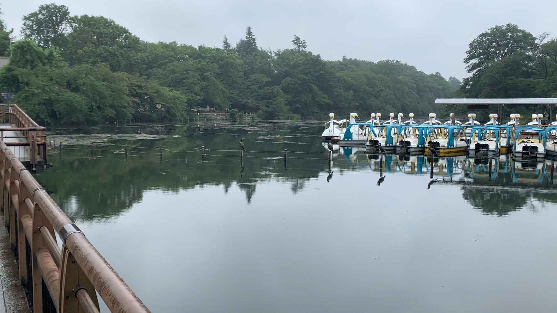 井の頭恩賜公園 井の頭池の散策と自然文化園 遊具充実の西園エリアで1日遊べる 公園 遊び場 レポ