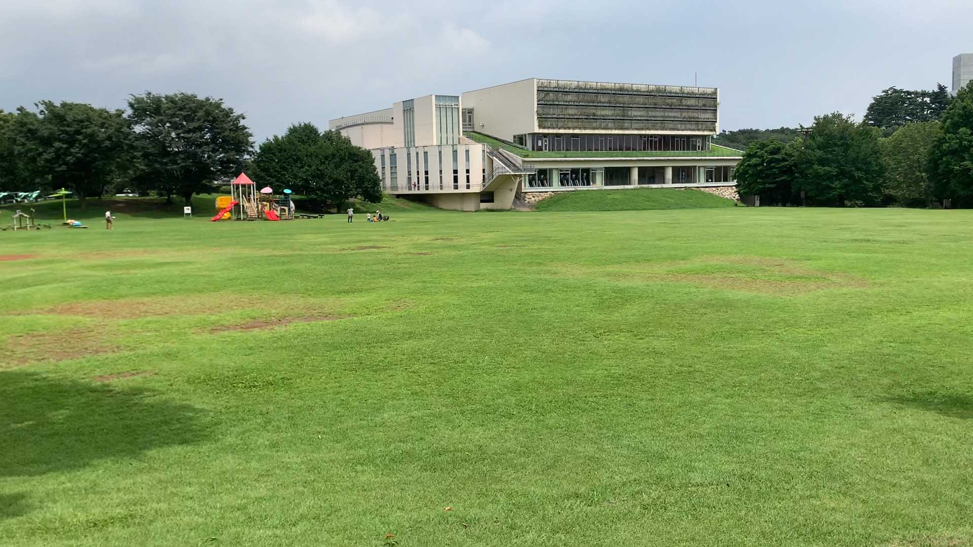 和光樹林公園 開放的な芝生広場と手ぶらバーベキュー 公園 遊び場 レポ