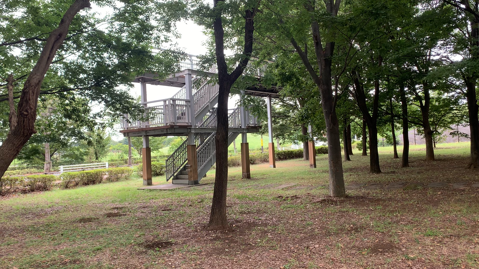 武蔵野の森公園 遊具 飛行場 お散歩スポット 公園☆遊び場☆レポ