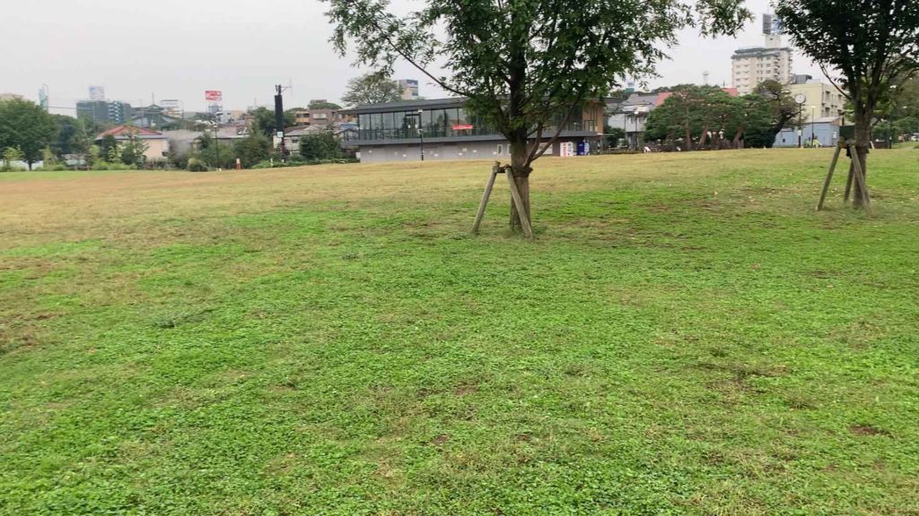 下高井戸おおぞら公園 広い芝生広場と大興奮のネット遊具がある公園 公園 遊び場 レポ