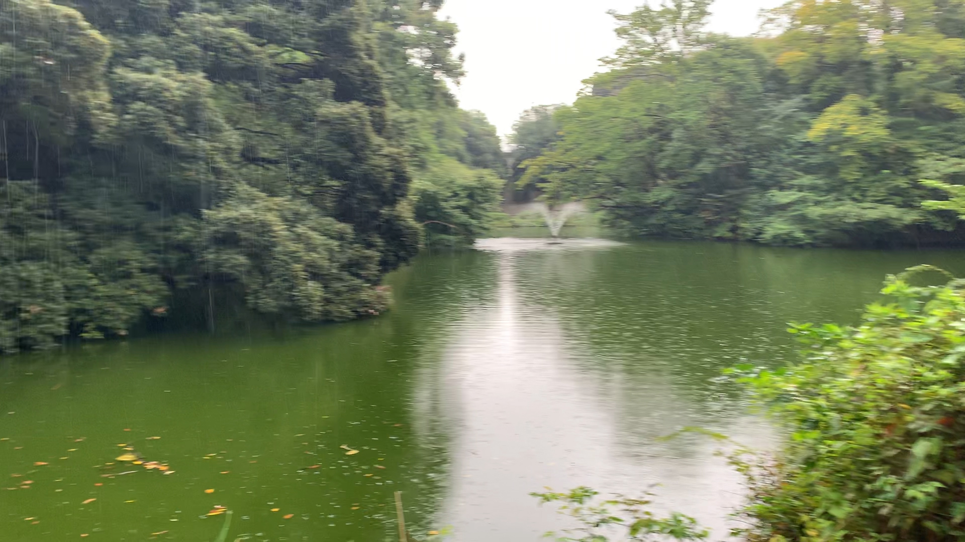 和田堀公園 善福寺川沿いの遊歩道に点在する遊具広場 バーベキュー場 公園 遊び場 レポ