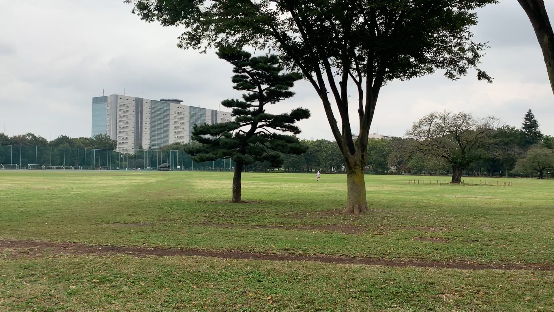 武蔵野中央公園 広い原っぱとバーベキュー場 遊具広場のある公園をご紹介 公園 遊び場 レポ