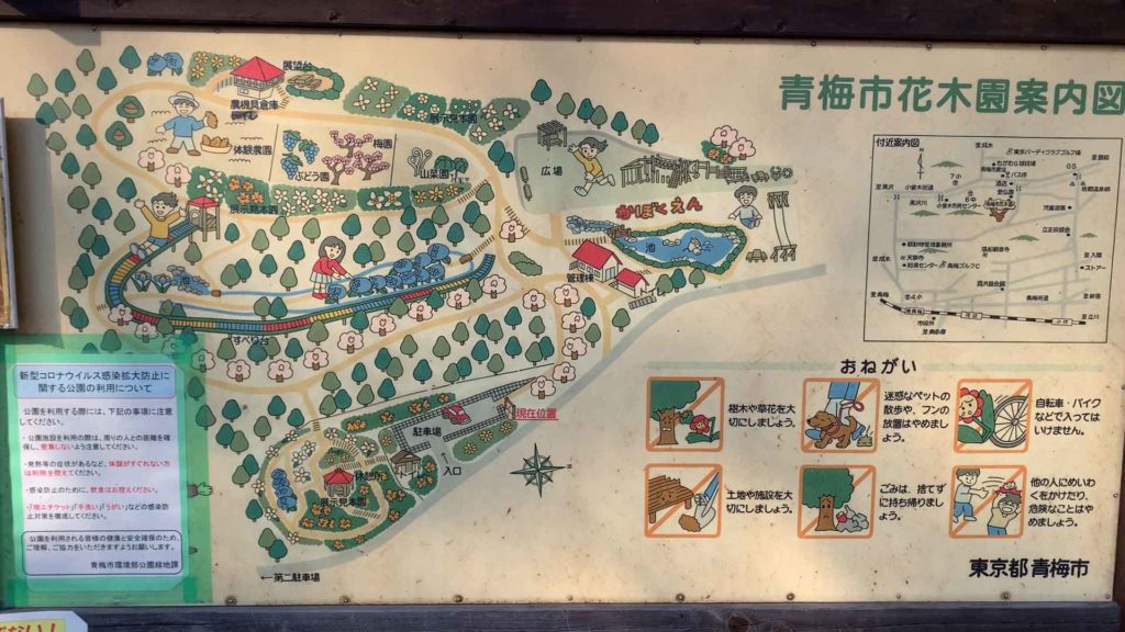 青梅市花木園 都内一長いすべり台で森の中を疾走 公園 遊び場 レポ