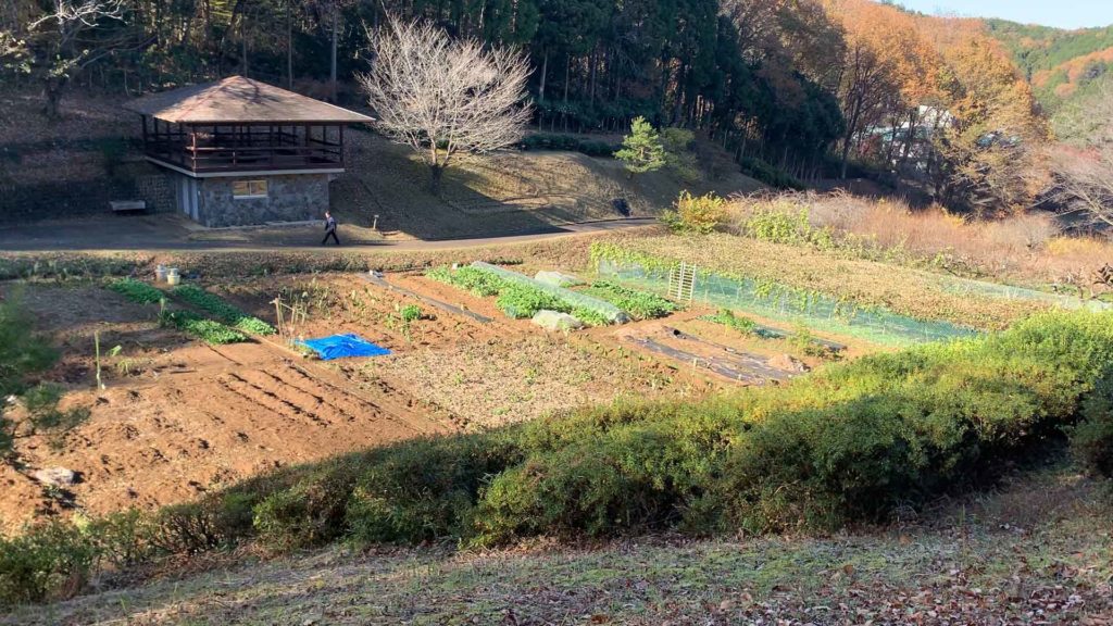 青梅市花木園 都内一長いすべり台で森の中を疾走 公園 遊び場 レポ